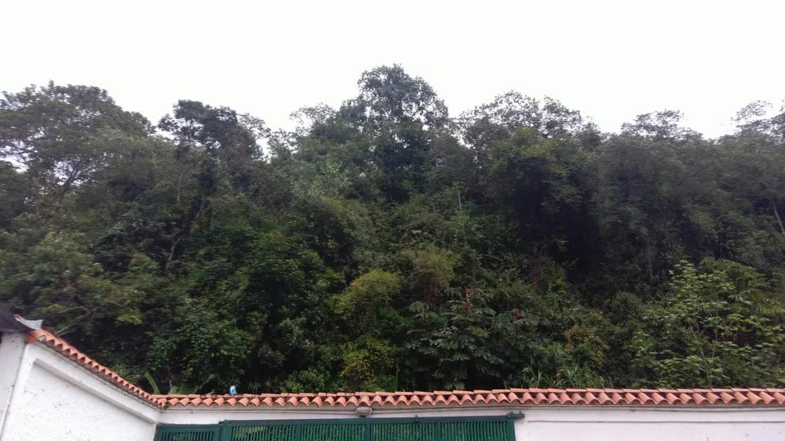 Casa (Casas de Campo) en Venta en Ejido, Merida - 86