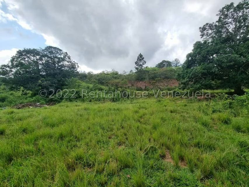 Terreno (Comercial) en Venta en Bejuma, Carabobo - 2
