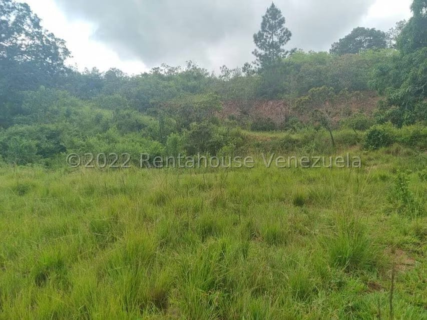 Terreno (Comercial) en Venta en Bejuma, Carabobo - 11