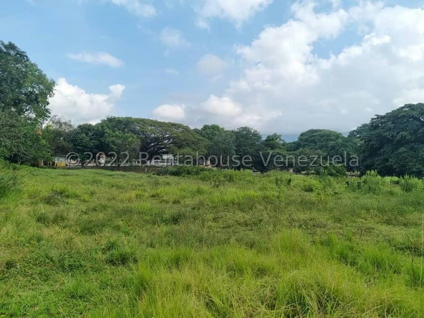 Terreno (Comercial) en Venta en Bejuma, Carabobo - 13
