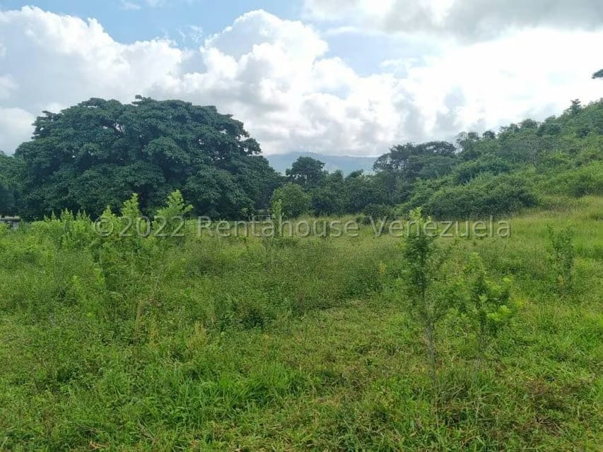 Terreno (Comercial) en Venta en Bejuma, Carabobo - 15