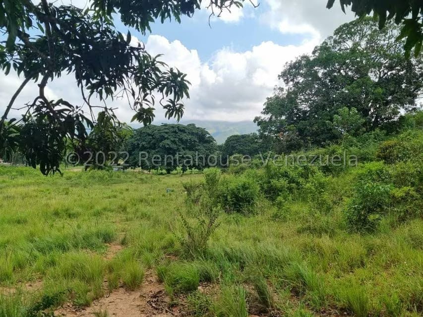 Terreno (Comercial) en Venta en Bejuma, Carabobo - 16