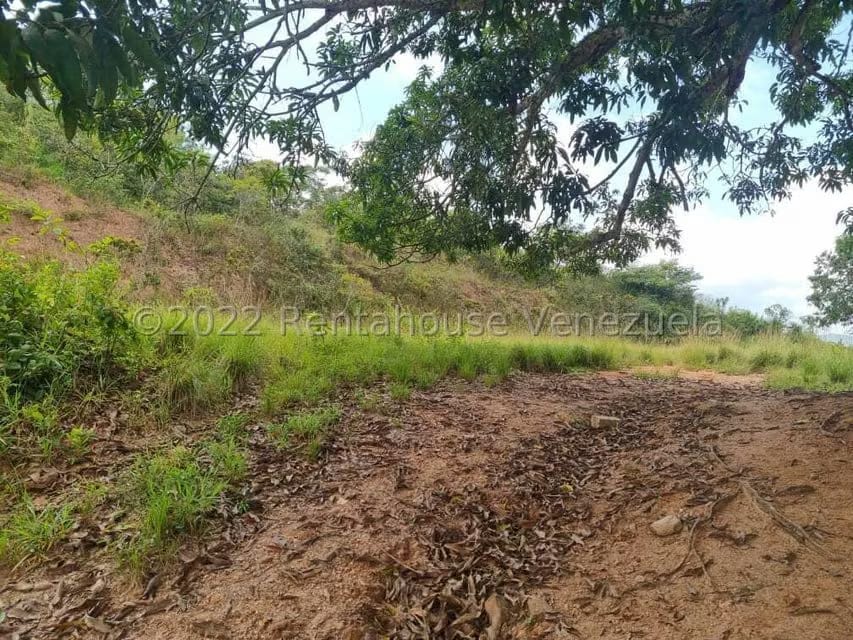 Terreno (Comercial) en Venta en Bejuma, Carabobo - 18