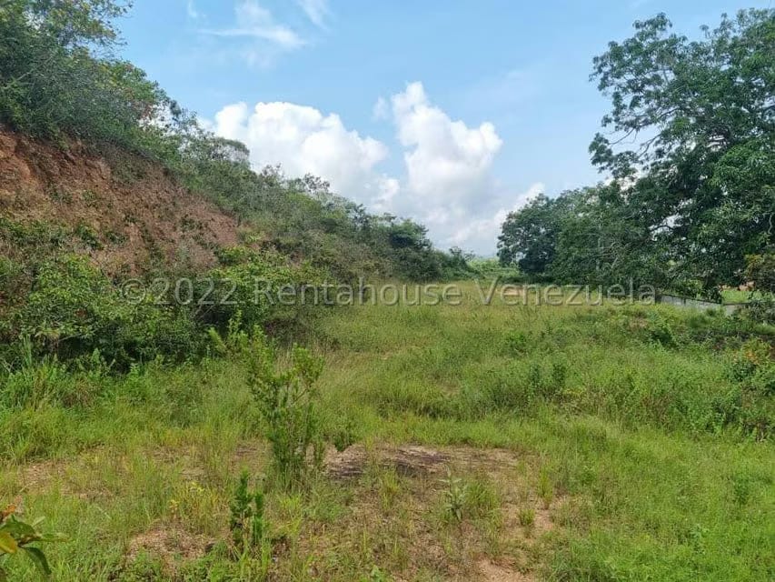 Terreno (Comercial) en Venta en Bejuma, Carabobo - 20