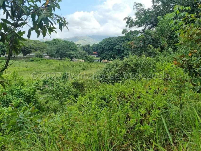 Terreno (Comercial) en Venta en Bejuma, Carabobo - 7