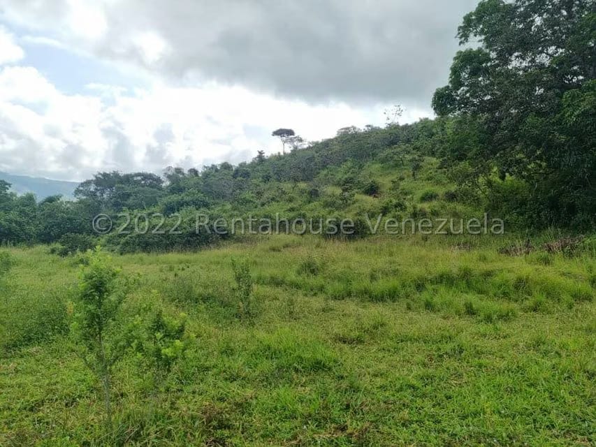 Terreno (Comercial) en Venta en Bejuma, Carabobo - 8