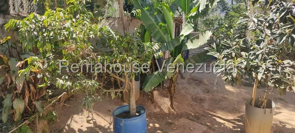 Casa (Duplex) en Venta en Colinas de Carrizal, Miranda - 37