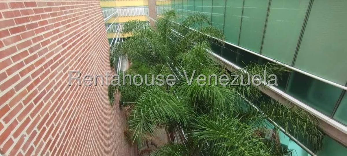 Comercial (Oficina) en Alquiler en Boleita Norte, Distrito Metropolitano - 19