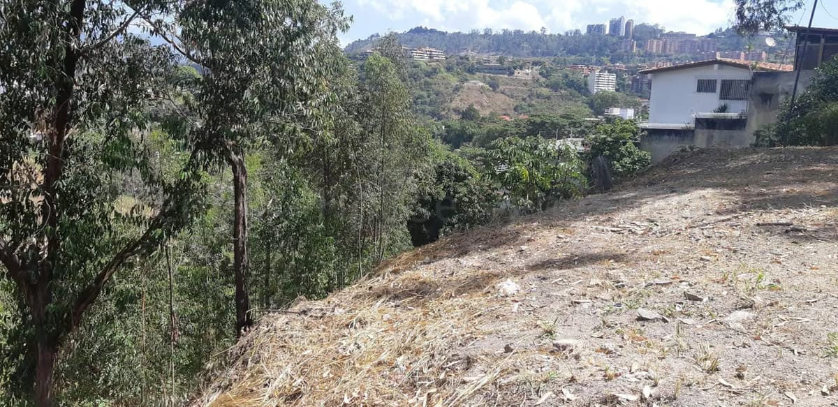 Terreno (Residencial) en Venta en La Trinidad, Distrito Metropolitano - 13