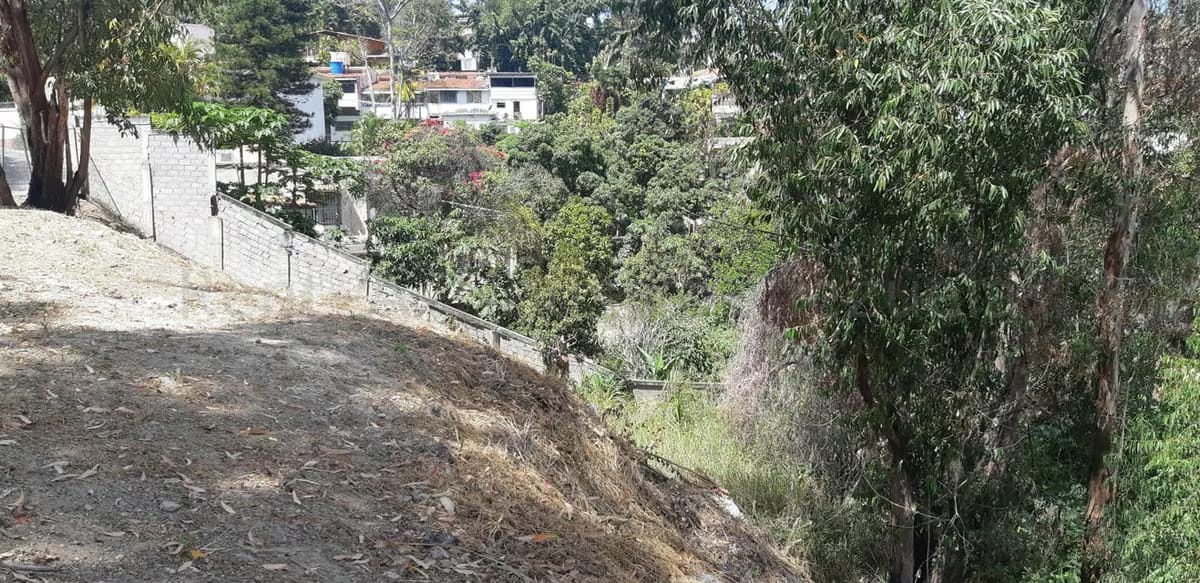 Terreno (Residencial) en Venta en La Trinidad, Distrito Metropolitano - 5