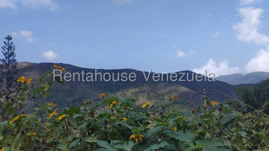 Casa (1 Nivel) en Venta en El Junquito, Distrito Metropolitano - 5