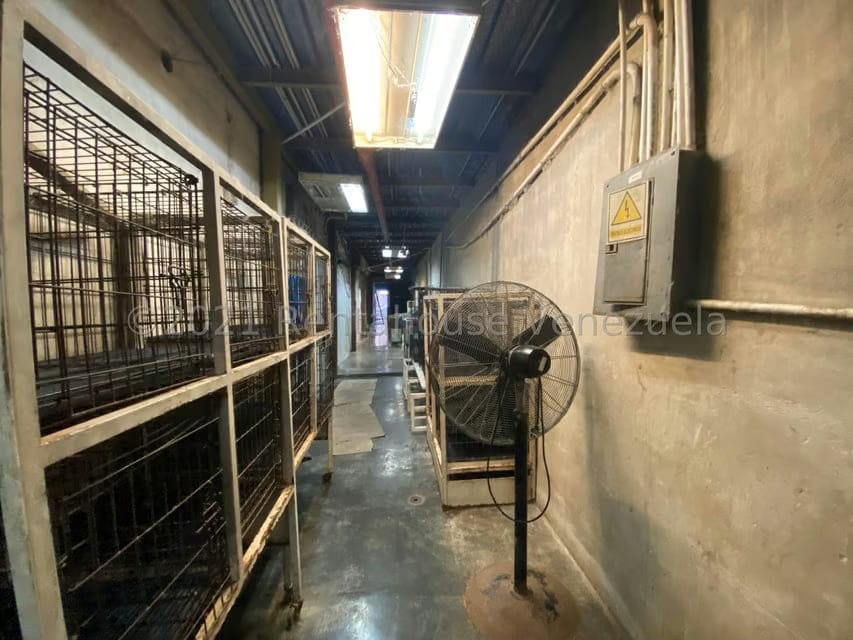 Comercial (Local Comercial) en Venta en Las Mercedes, Distrito Metropolitano - 29