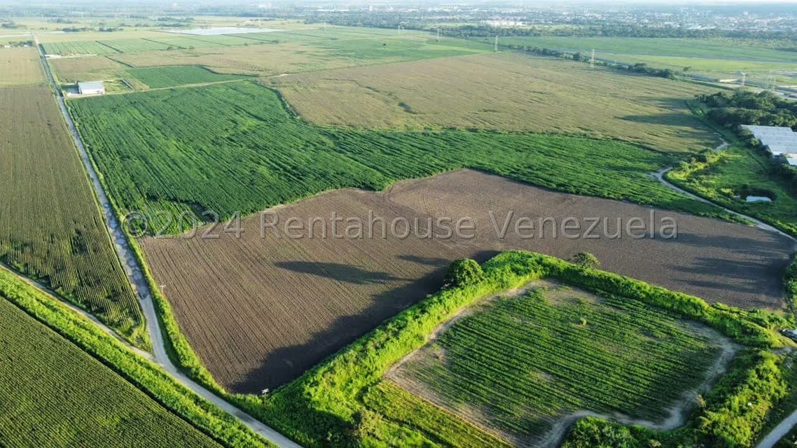 Terreno (Industrial) en Venta en Miraflores, Portuguesa