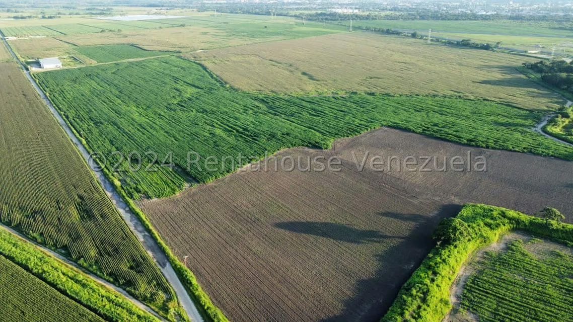 Terreno (Industrial) en Venta en Miraflores, Portuguesa - 2