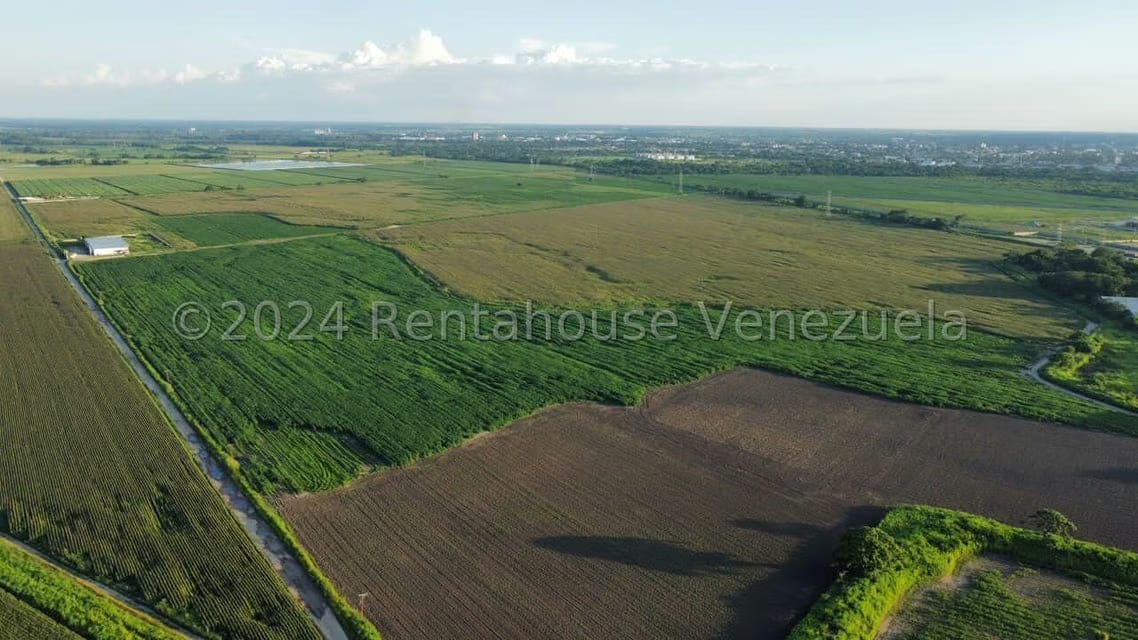 Terreno (Industrial) en Venta en Miraflores, Portuguesa - 3