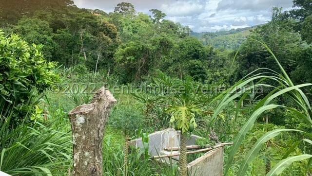 Terreno (Finca) en Venta en Gavilan, Distrito Metropolitano - 13