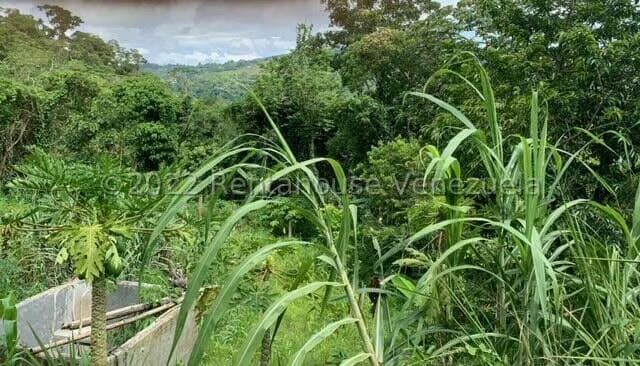 Terreno (Finca) en Venta en Gavilan, Distrito Metropolitano - 14