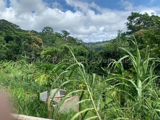 Terreno (Finca) en Venta en Gavilan, Distrito Metropolitano - 8