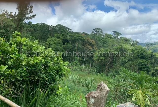 Terreno (Finca) en Venta en Gavilan, Distrito Metropolitano - 10