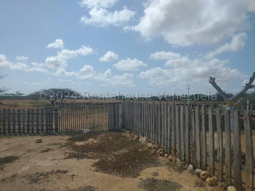 Terreno (Finca) en Venta en El Oasis, Falcon - 11
