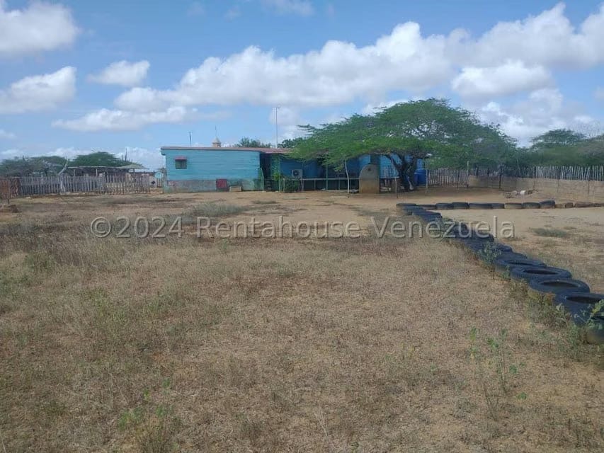 Terreno (Finca) en Venta en El Oasis, Falcon - 13