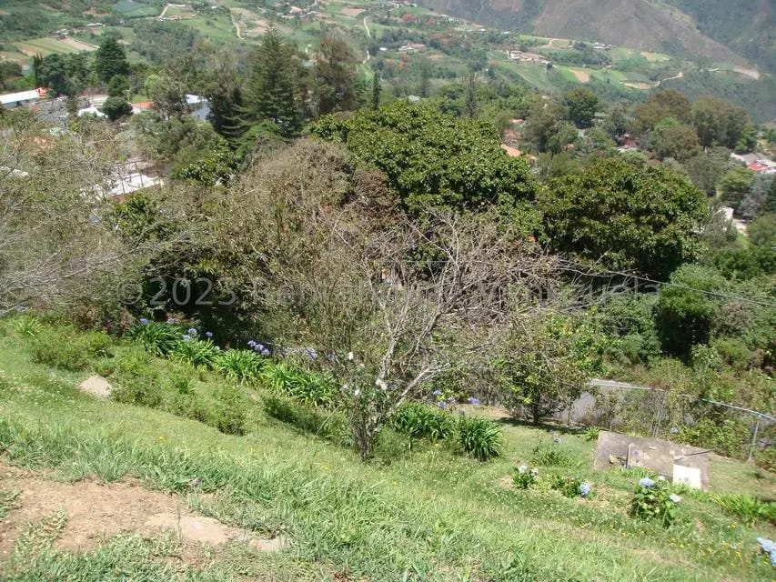 Casa (Multipes Niveles) en Venta en El Junko Country Club, Vargas - 24