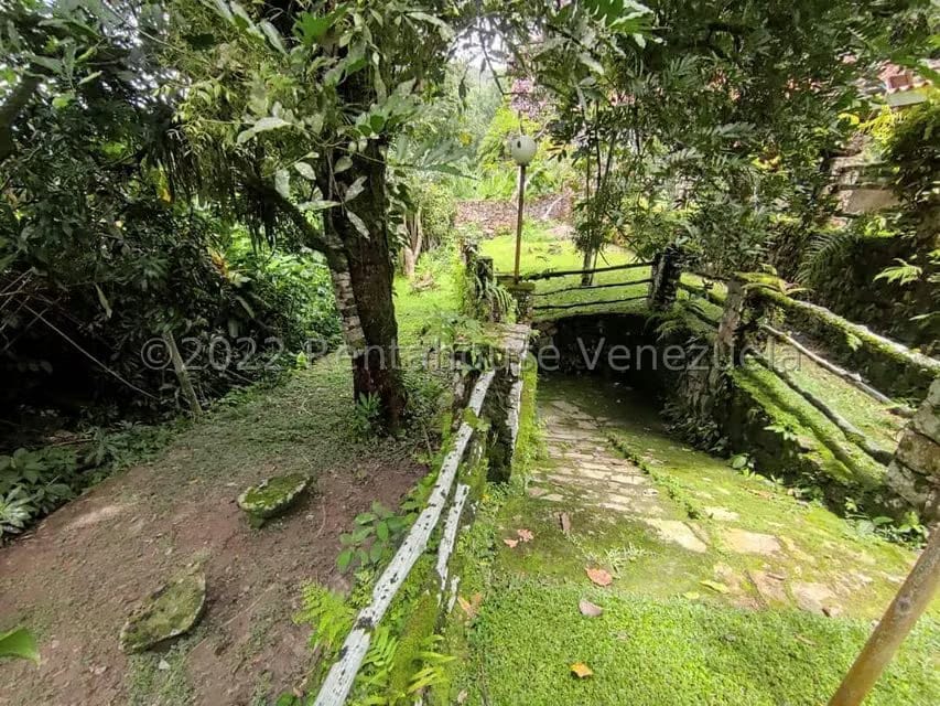 Casa (1 Nivel) en Venta en Lomas de Palmarito, Aragua - 35