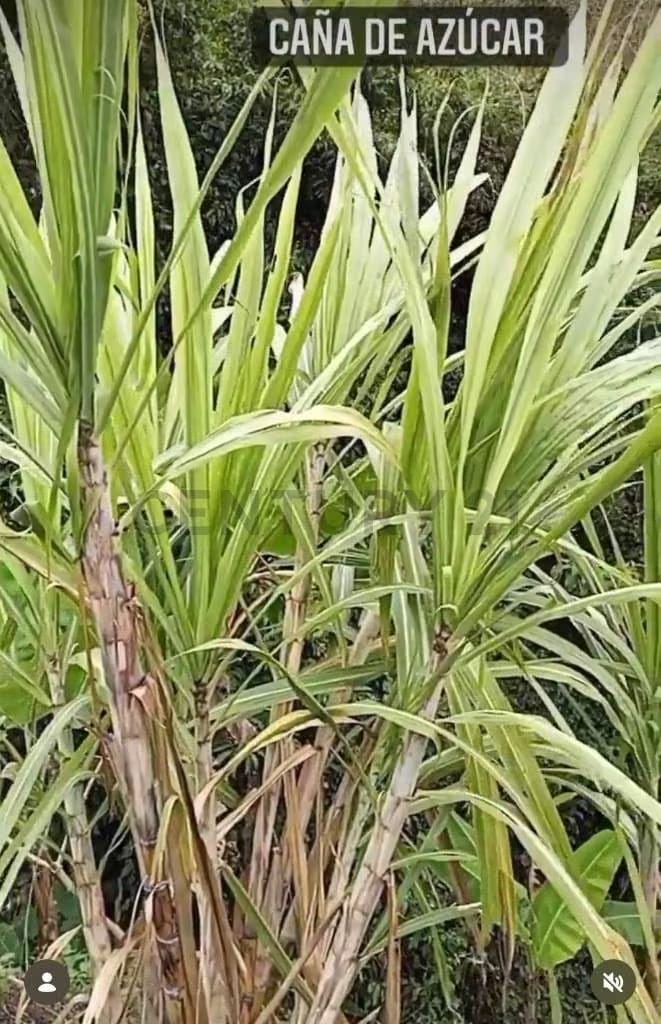 Venta de Terreno San Diego de Los Altos. Miranda - 13