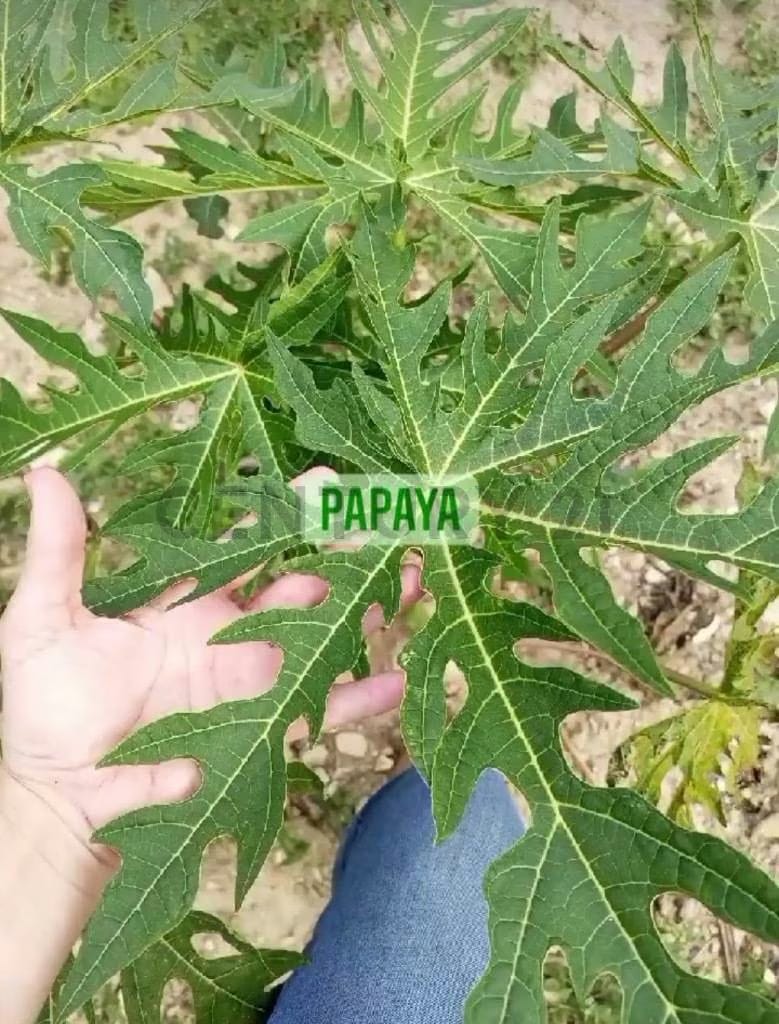 Venta de Terreno San Diego de Los Altos. Miranda - 14