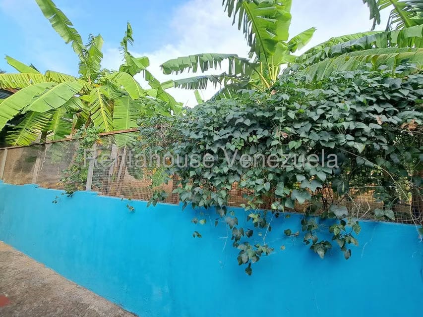 Comercial (Local Comercial) en Venta en Bariqui, Falcon - 18