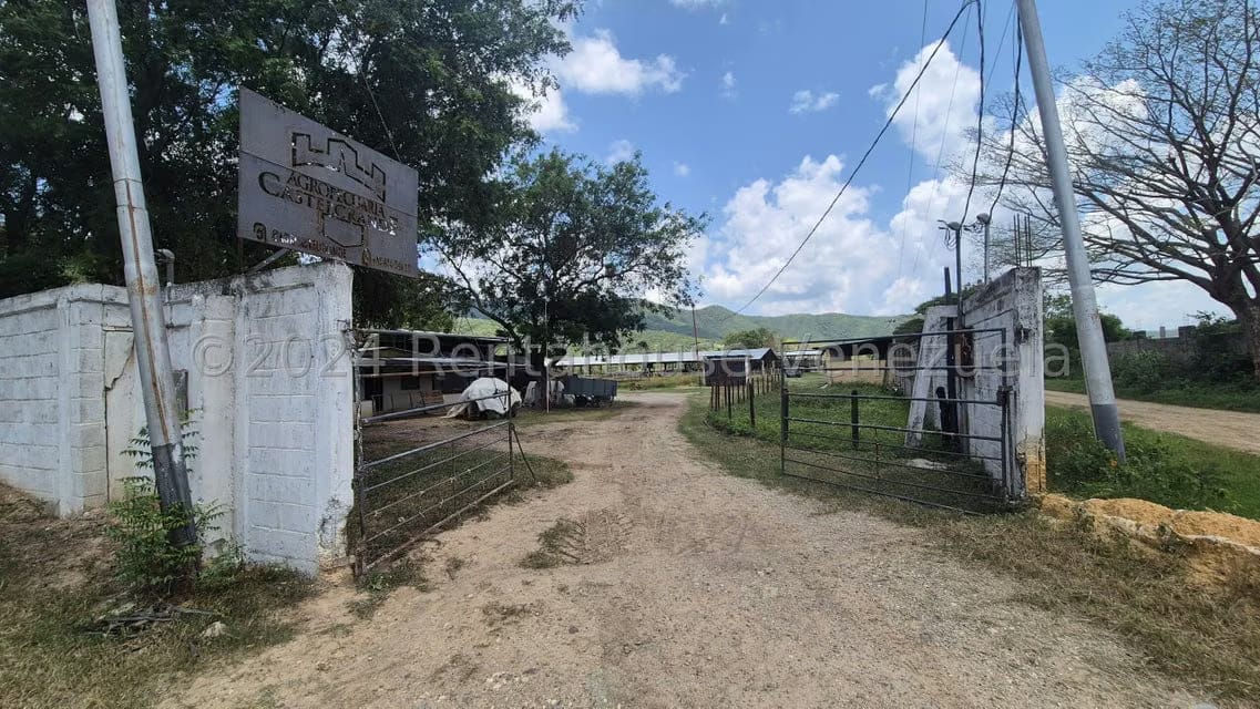 Terreno (Industrial) en Venta en Los Naranjillos, Lara - 36