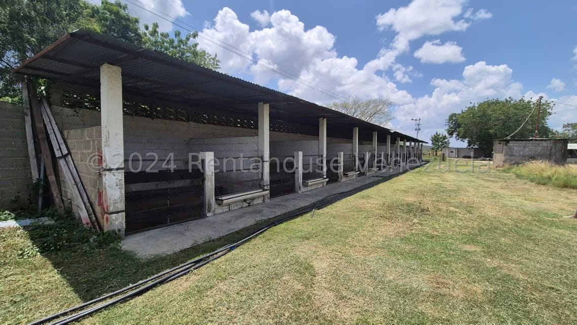 Terreno (Industrial) en Venta en Los Naranjillos, Lara - 46