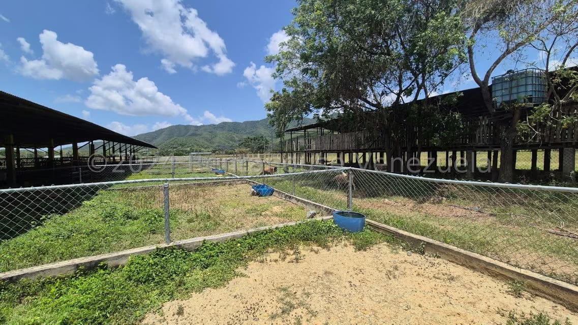 Terreno (Industrial) en Venta en Los Naranjillos, Lara - 48