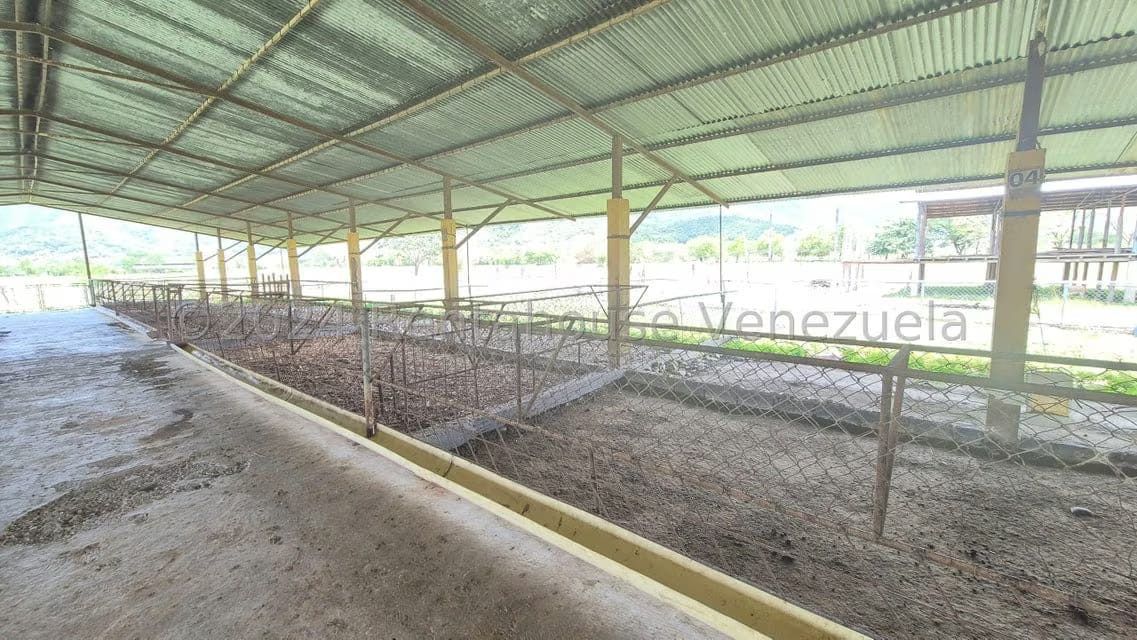 Terreno (Industrial) en Venta en Los Naranjillos, Lara - 53