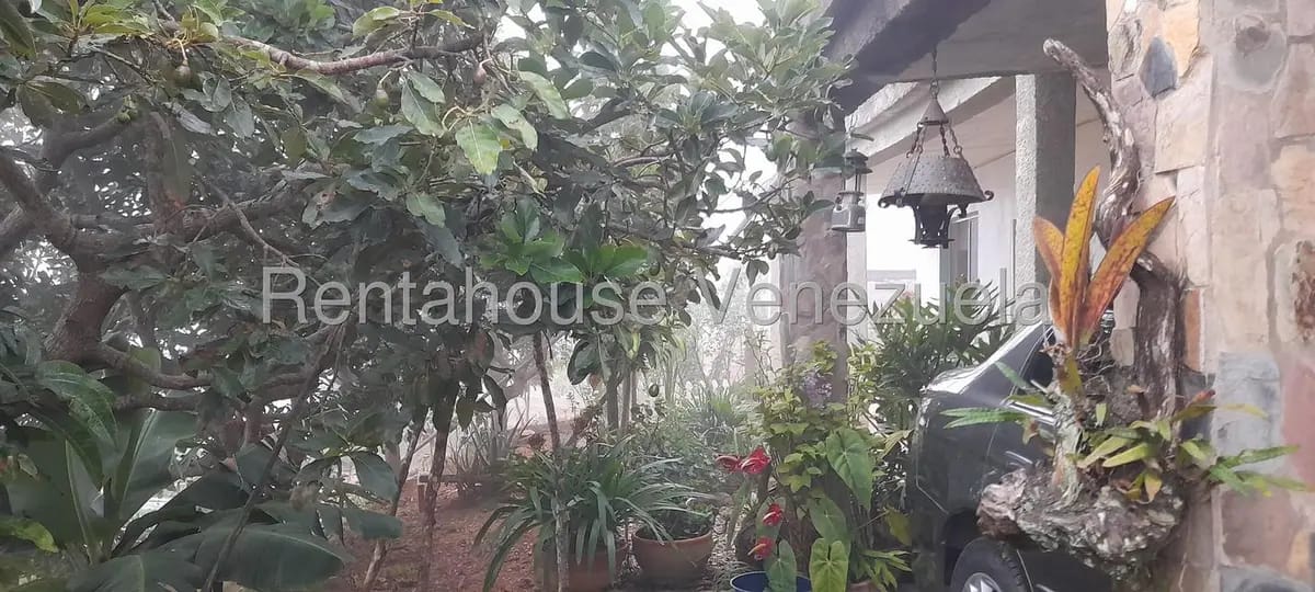 Casa (1 Nivel) en Venta en Sector El Centro Carache, Trujillo - 15