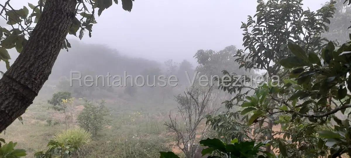 Casa (1 Nivel) en Venta en Sector El Centro Carache, Trujillo - 16