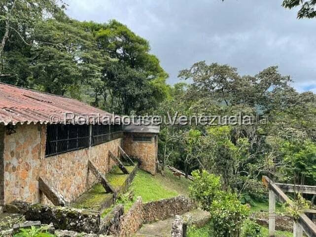 Comercial (Club Campestre) en Venta en Curimagua, Falcon - 20