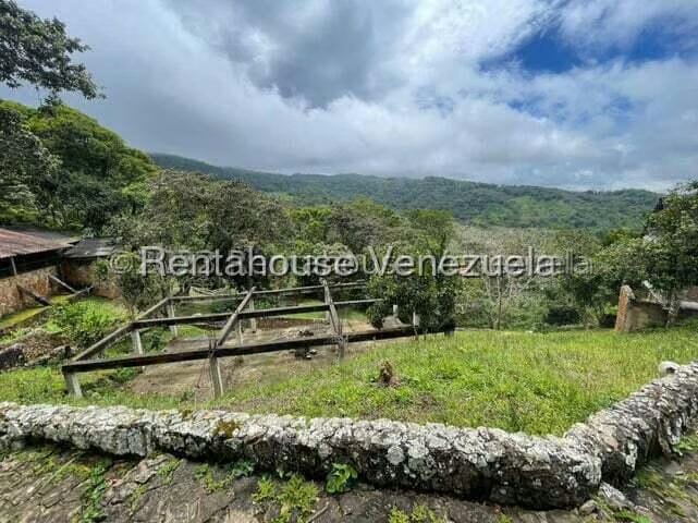 Comercial (Club Campestre) en Venta en Curimagua, Falcon - 22