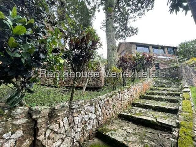 Comercial (Club Campestre) en Venta en Curimagua, Falcon - 28
