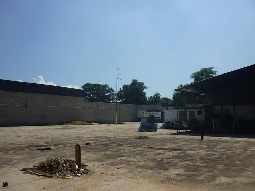 Comercial (Galpon - Deposito) en Venta en San Miguel, Aragua - 7