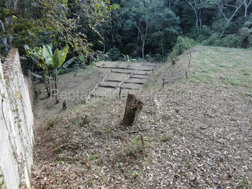 Terreno (Residencial) en Venta en Karimao Country, Distrito Metropolitano - 13