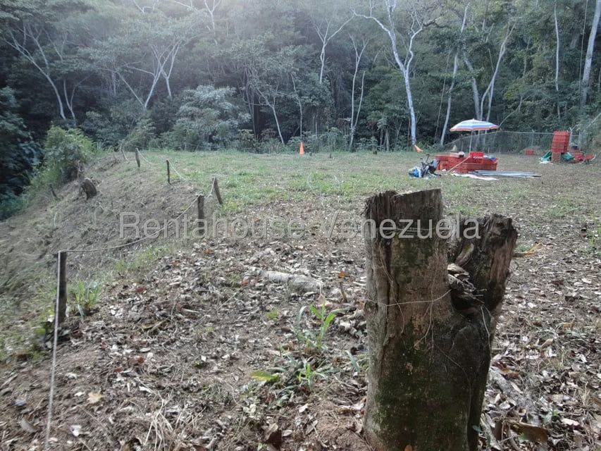 Terreno (Residencial) en Venta en Karimao Country, Distrito Metropolitano - 14