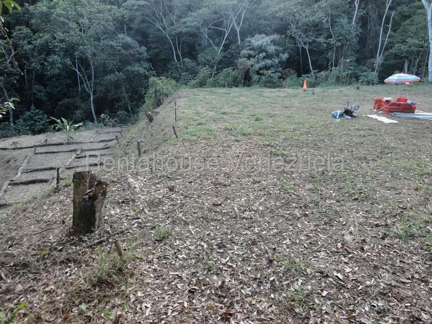 Terreno (Residencial) en Venta en Karimao Country, Distrito Metropolitano - 15