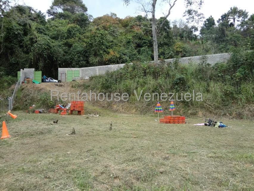 Terreno (Residencial) en Venta en Karimao Country, Distrito Metropolitano - 3