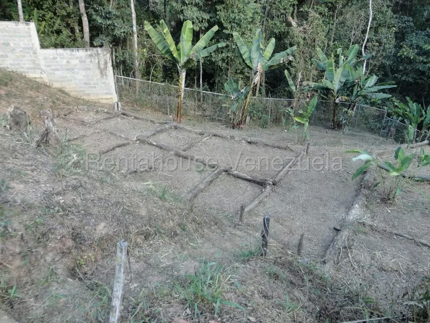 Terreno (Residencial) en Venta en Karimao Country, Distrito Metropolitano - 10