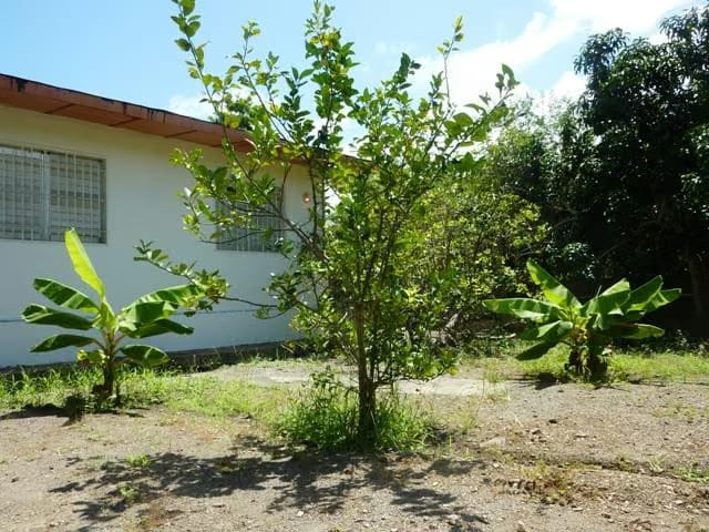 Casa (1 Nivel) en Venta en La Playa, Anzoategui - 5