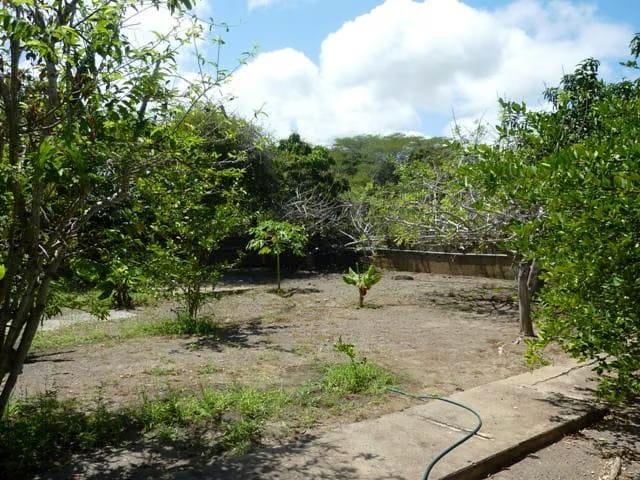 Casa (1 Nivel) en Venta en La Playa, Anzoategui - 8