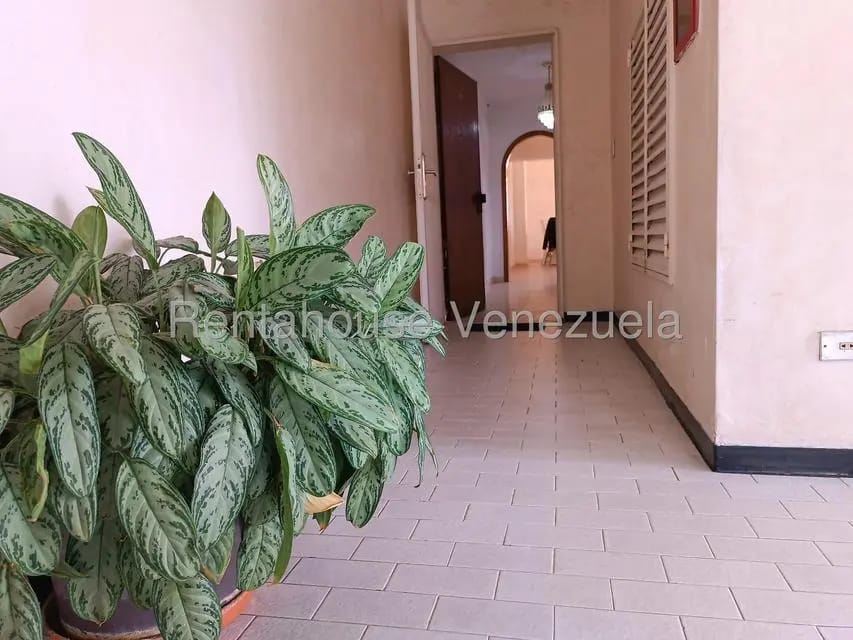 Apartamento (1 Nivel) en Alquiler en Los Nuevos Teques, Miranda - 2