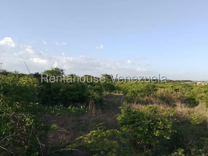 Terreno (Residencial) en Venta en Los Bolivarianos, Guarico - 5