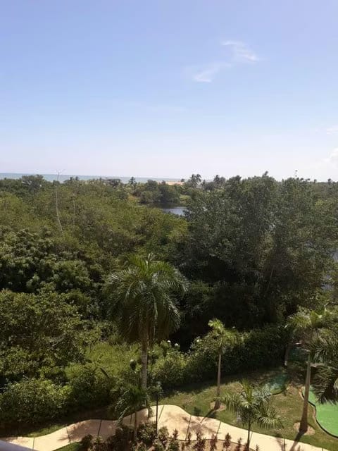 Apartamento (1 Nivel) en Venta en Los Canales de Rio Chico, Miranda - 23